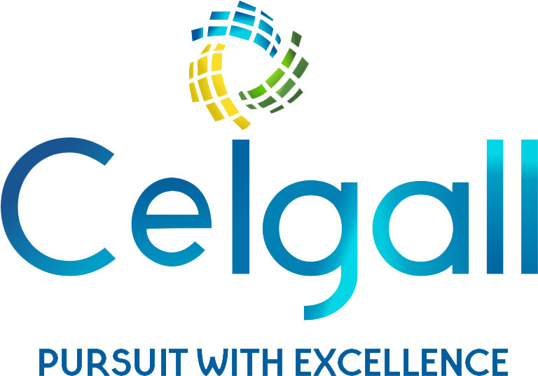 Ceigall India IPO